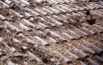 Colt Hill roof cleaning companies